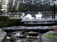 photos 2000-200901806